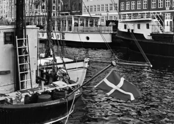 Photo by Heidi Fin on Unsplash