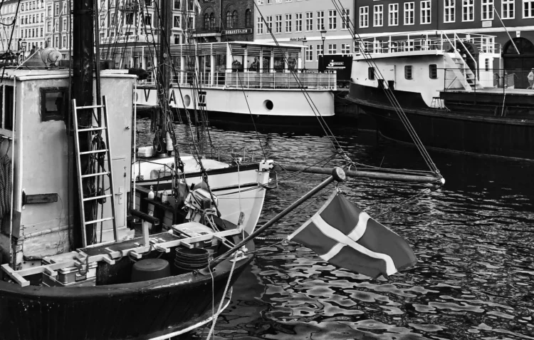 Photo by Heidi Fin on Unsplash