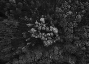 Photo by Pavlo Rekun on Unsplash