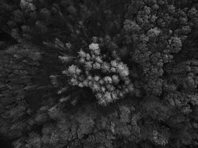 Photo by Pavlo Rekun on Unsplash