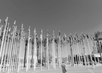 Photo by HAIPING WU on Unsplash