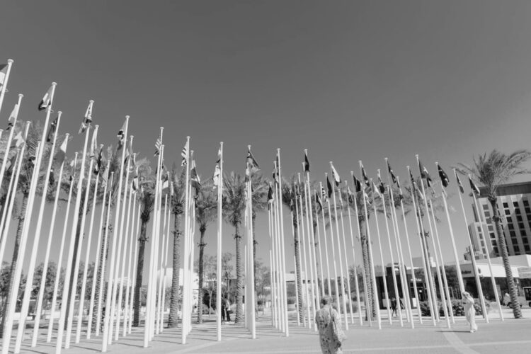 Photo by HAIPING WU on Unsplash