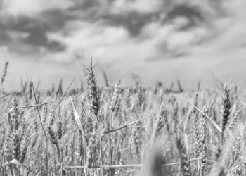 Deep tech breakthroughs in Ukraine get a boost from Europe