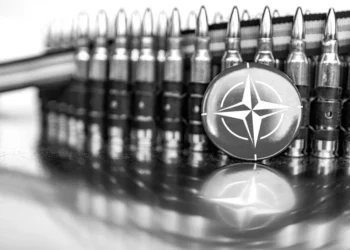 Photo by Marek Studzinski on Unsplash