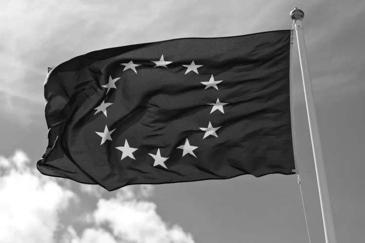 European Union flag by Håkan Dahlström, licensed under CC BY 2.0, via Wikimedia Commons.