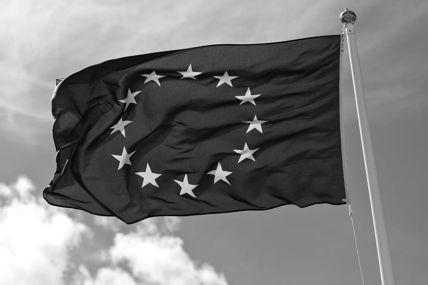 European Union flag by Håkan Dahlström, licensed under CC BY 2.0, via Wikimedia Commons.