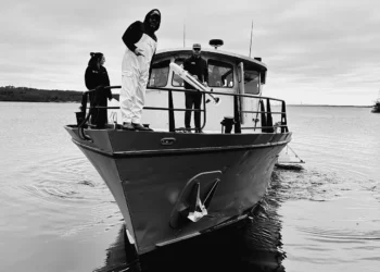 Image courtesy of Vatn