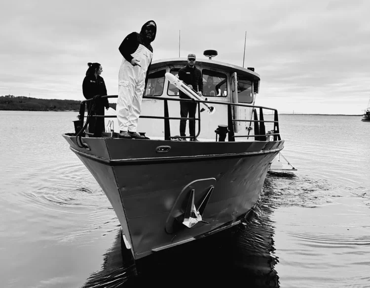 Image courtesy of Vatn