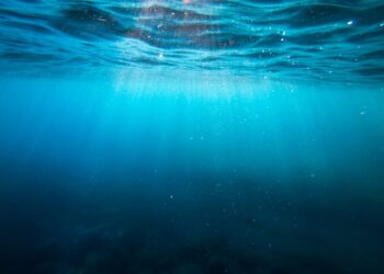 Photo by Cristian Palmer on Unsplash