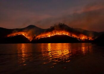 Photo by sippakorn yamkasikorn on Unsplash