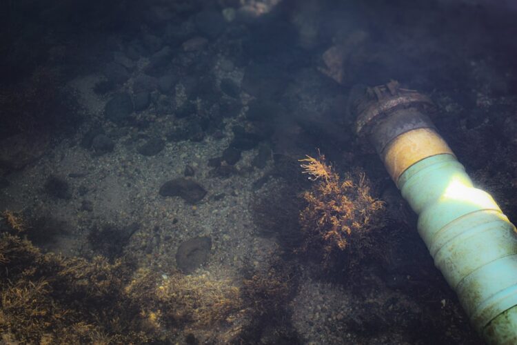 Photo by Allyson Arms on Unsplash