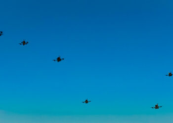 Auterion, the drone software startup, eyes raising $200M at a $1.2B+ valuation