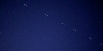 birds flying in the sky during night time