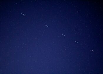 birds flying in the sky during night time
