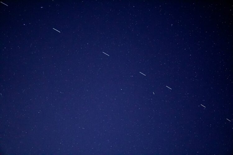 birds flying in the sky during night time