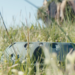 Project Q launches passive surveillance sensor kit for contested environments