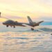 Taiwan’s defence plans are up in the air