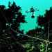 Weekly Digest: Spiderweb to Minister of Defense