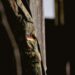 German military uniform