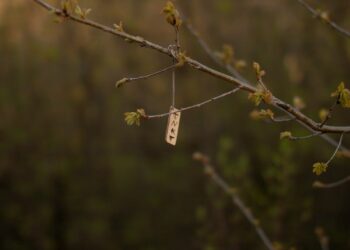a small piece of metal hanging from a tree branch