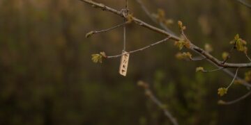 a small piece of metal hanging from a tree branch