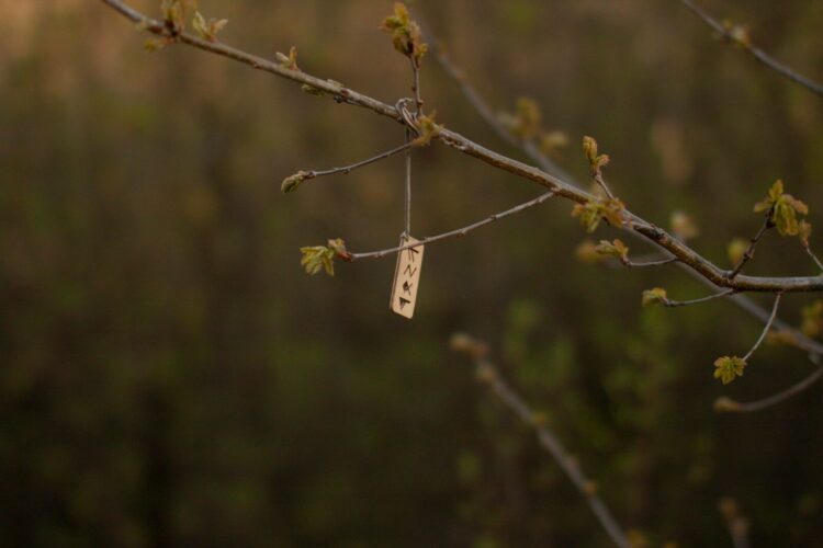 a small piece of metal hanging from a tree branch