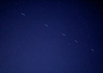 birds flying in the sky during night time