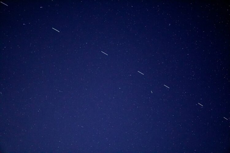birds flying in the sky during night time